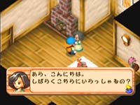 harvest1.jpg (10093 bytes)