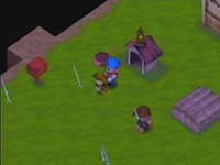 harvest5.jpg (5087 bytes)