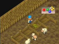 harvest6.jpg (7790 bytes)