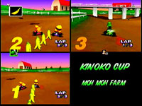 mariokart2.jpg (14701 bytes)